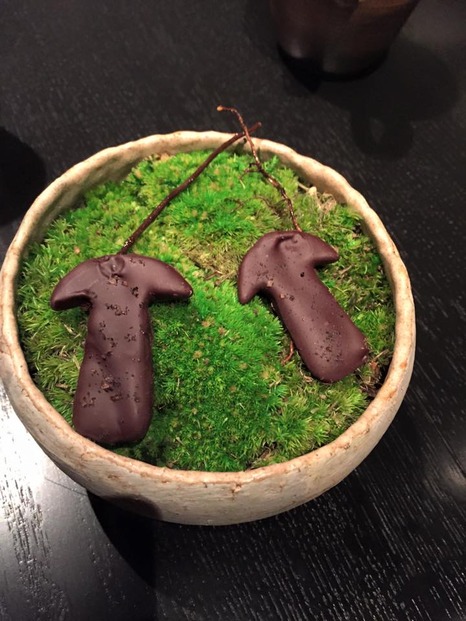 16 - 039Wild cinnamon and fermented mushroom039