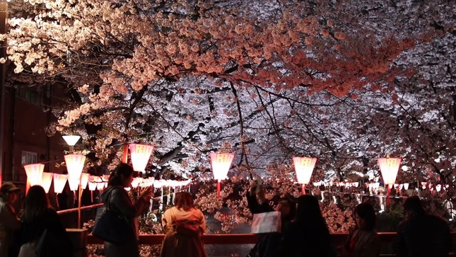 4e55f23a-df51-429e-93c4-e83fd1c49f7e