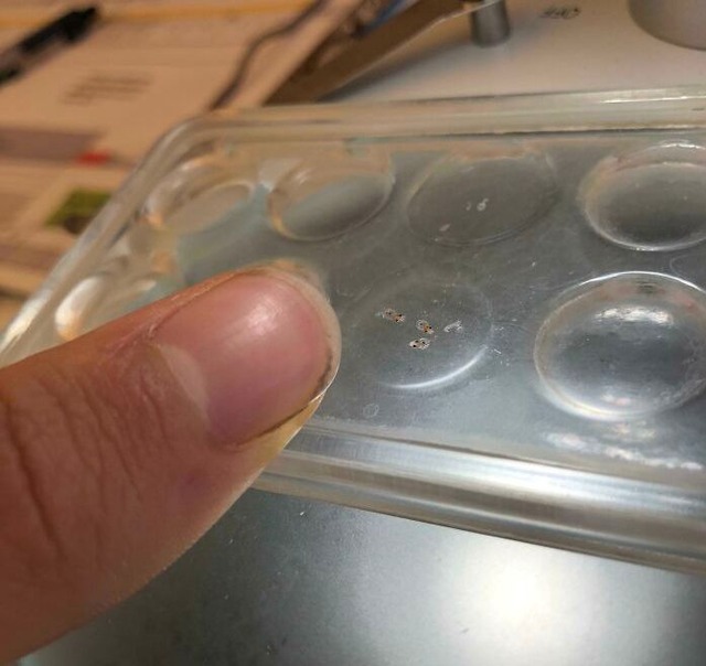 68db8745bb6a1_yem8ittodn641__700