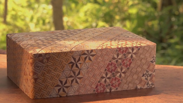 96fedf41-b2f9-4e08-8f26-bd78fbac2096