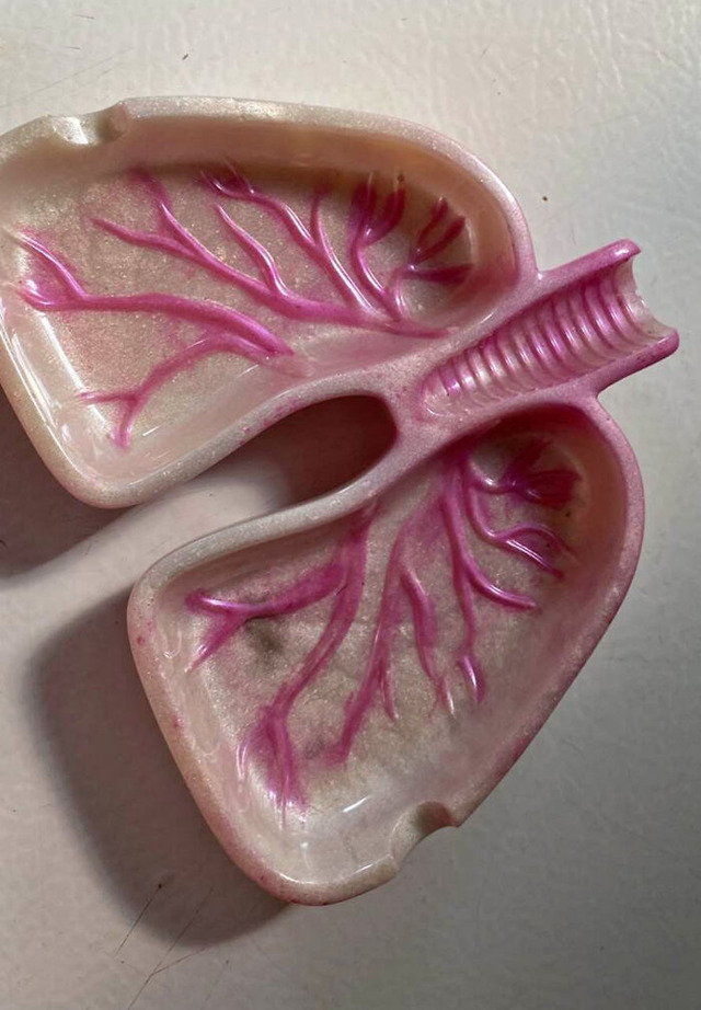 689e2658c0c93_barvxqkupdif1-png__700