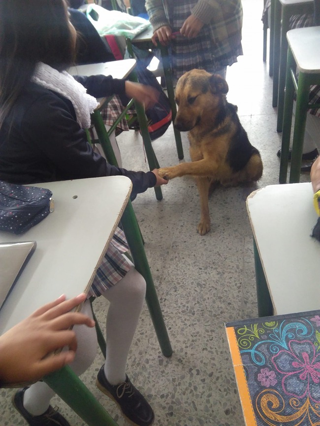 132180332_10157675973158457_2354821683558393069_o