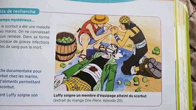 B フランス人 理科の教科書にワンピースの1コマが載ってた 笑 海外の万国反応記 海外の反応