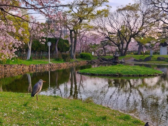 dZSOfx7Y1-HvEDWXknQxbYPrDEDocIFTSPPV5fx6jQM