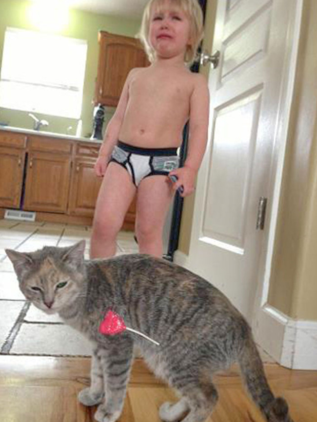 funny-valentines-day-fails-accidents-9-63c53ee409d31__700