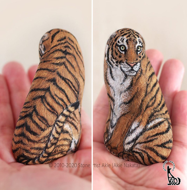 7-617a8744229e9-png__880