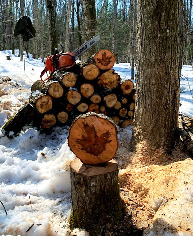 21-65a7b20a564d1__700 (1)