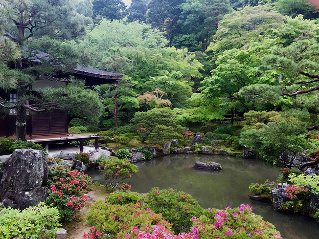 beautiful-scenery-106-61dea59c86466__880