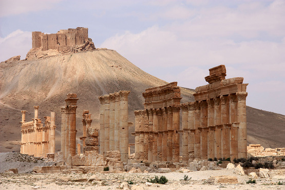 Palmyra