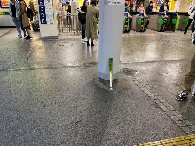 72557279_10104099059583728_5421366660294508544_n