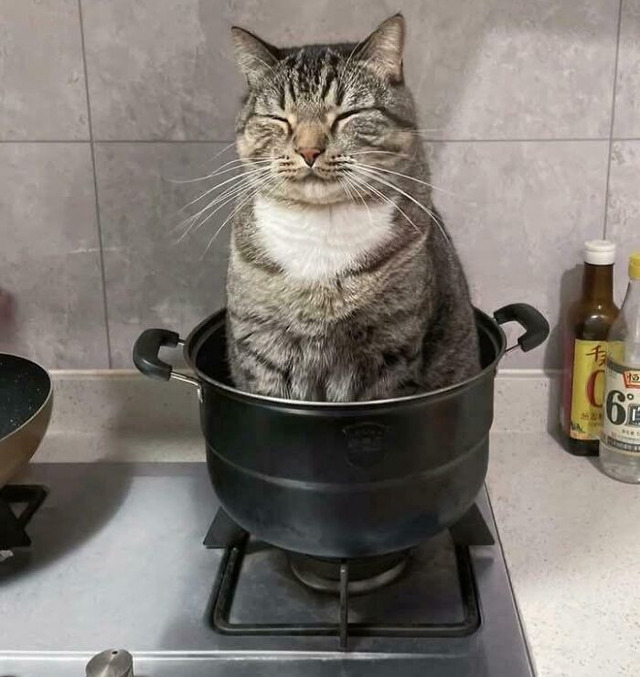 68fb2fb50068a_if-i-fit-i-sit-6(1)