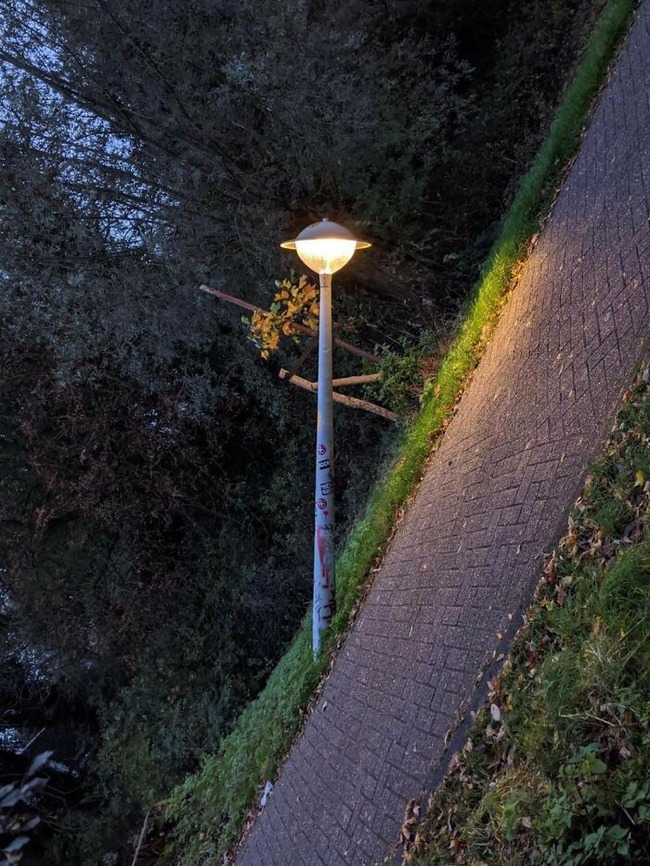 64ae73cbccb1e_pjwlluc21lk61__700 (1)