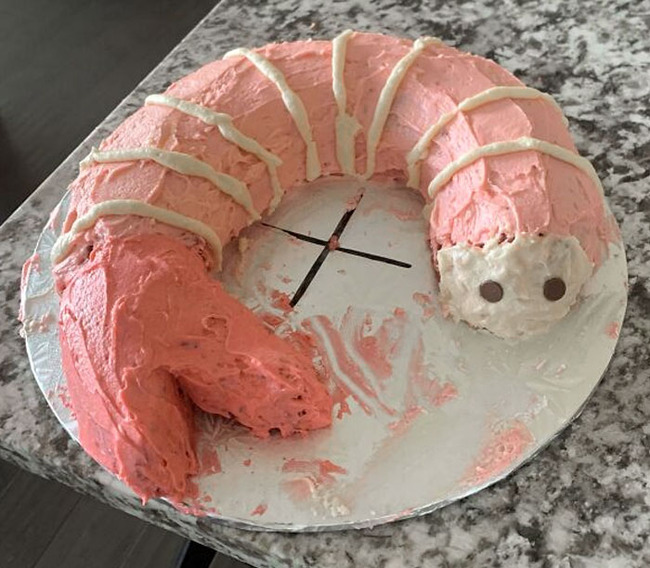 cake-funny-fails-12-65ba03946062e__700