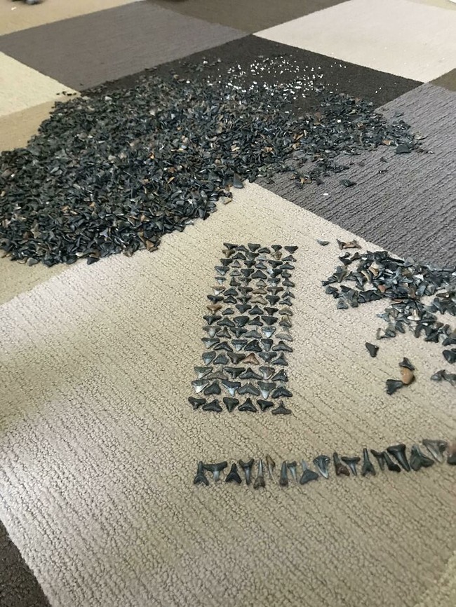 5fa9192fc00a0_xx47d3quatf31__700