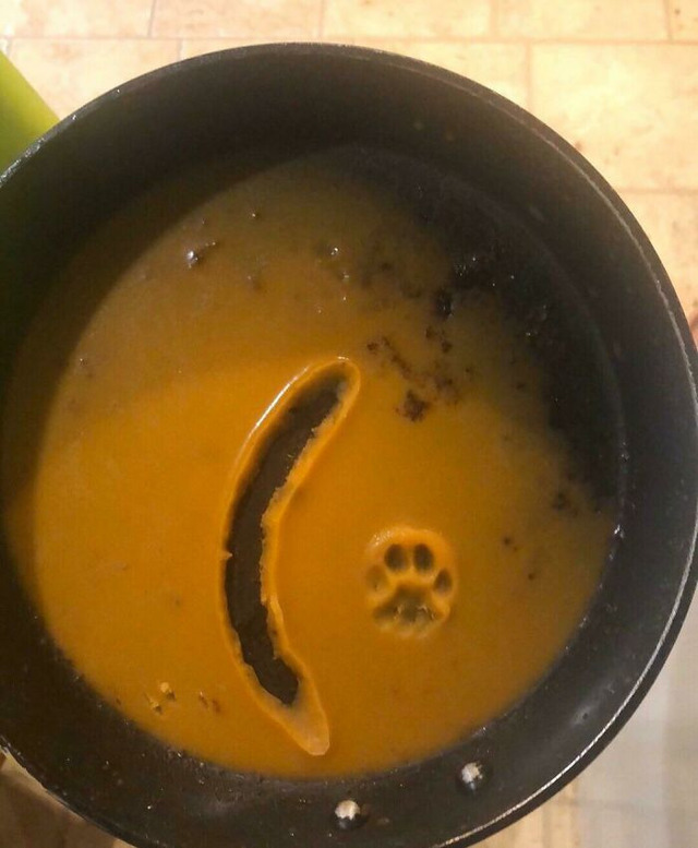 69bbd5941aad9_v4boxf8t34t31__700