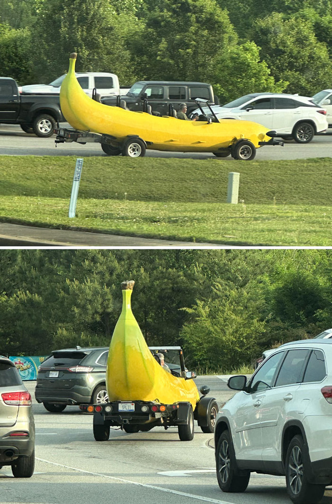 rarely-seen-things-6-65e567d40571d__700