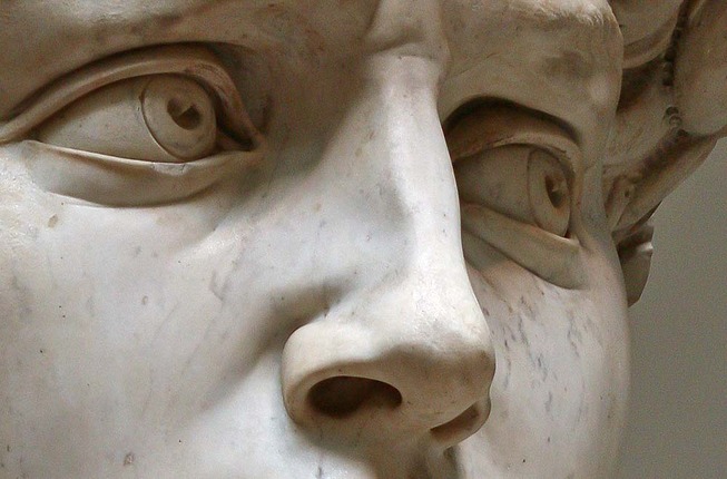 david-nose-detail