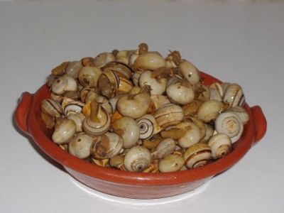 1503511103589