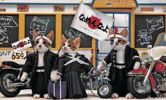 338707645_174244168774782_6063934300820077131_n