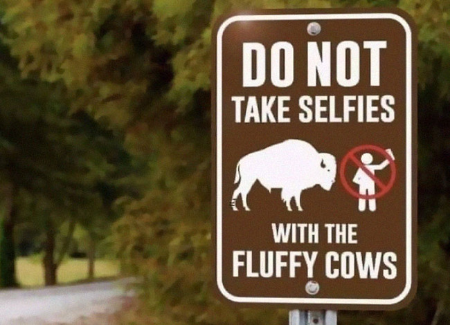 stupid-weird-signs-15-62b57a7cad73a__700