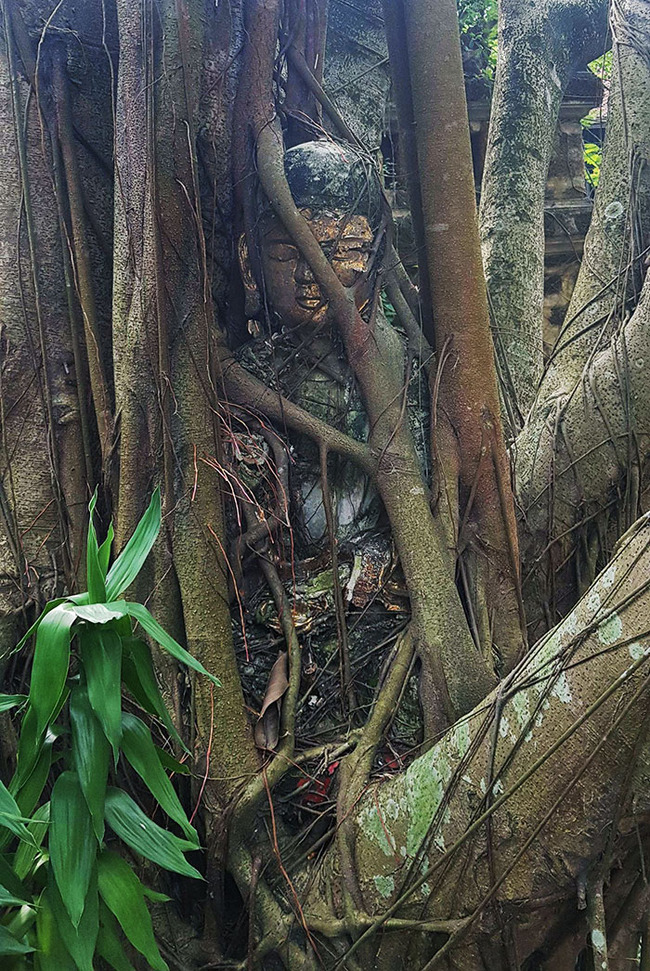 hungry-trees-taking-over-things-207-630f32c462174__700