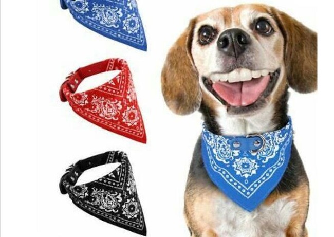 clipimage-63359f00b5c4a__700