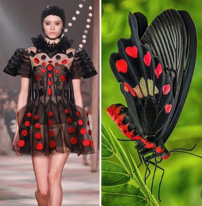 afaf-60508437bd08e__700