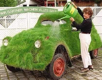 2cv_grass