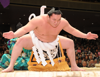 pic_hakuho