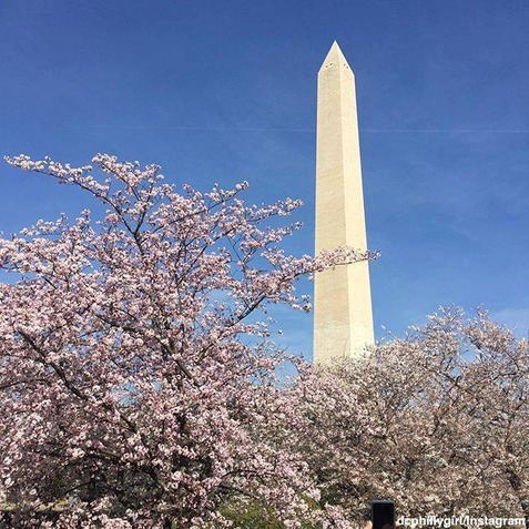 1422451_10154249162558812_4702997105737936481_n