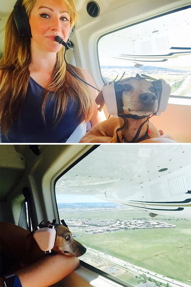 traveling-animals-04-5fc4e8813576a__700