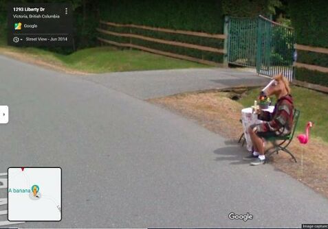 google_street_view_horse_thumb-6374da470dc94__700