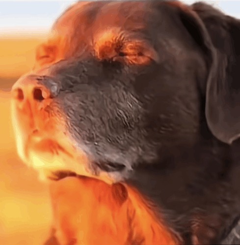 Gz3T8AjagAAA7Bl