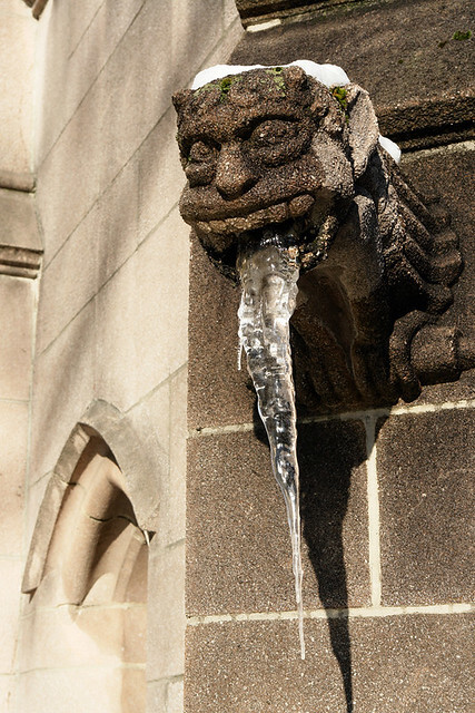 3132558520_e56f0db2e9_z