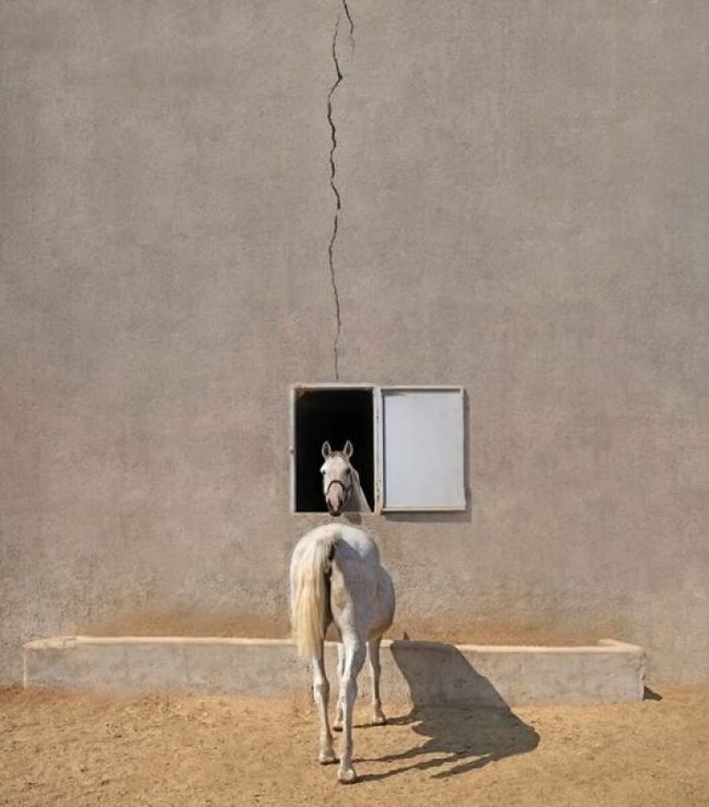 accidental-optical-illusions-pics-67442ab1140fe__700