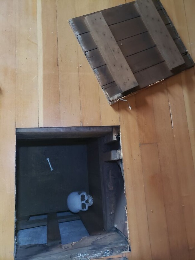 63636ee297389_vsh970ieey881__700