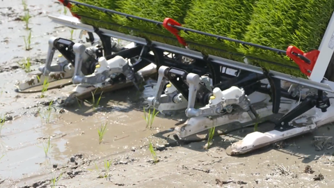田植え 初挑戦 海外の反応