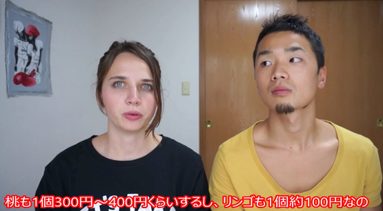 海外の反応 日本の高いモノ