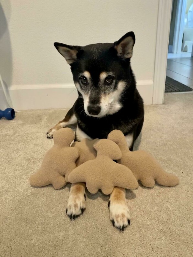 64ba559f5bb54_996g5mvt8lra1__700