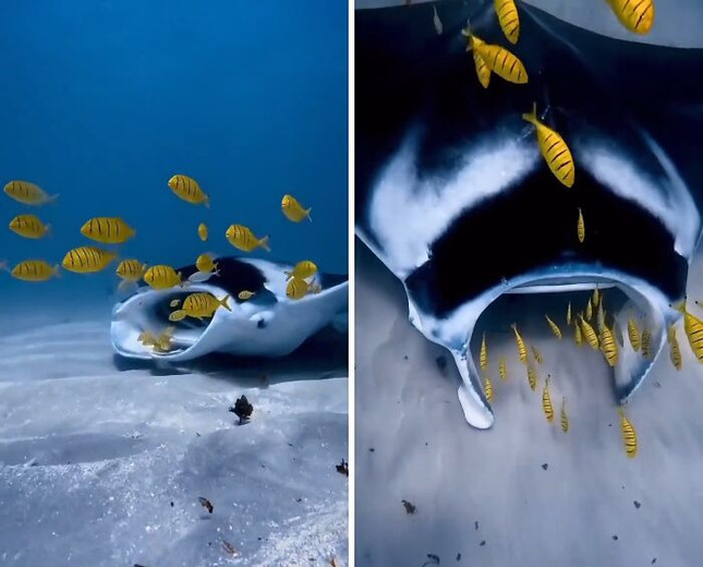 698473770bce9_bizarre-things-in