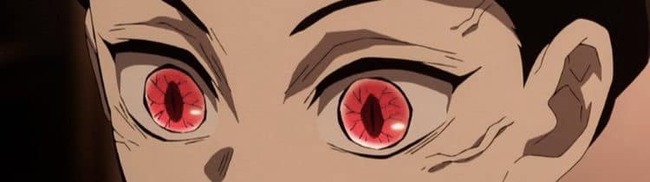 319182581_527029929337863_3412118335303692103_n