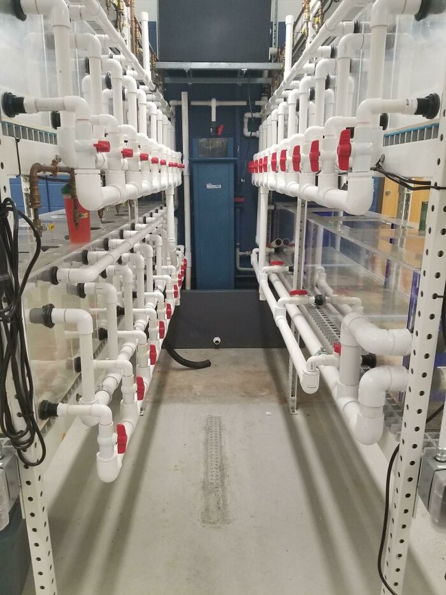 6322e6bb88a17_e6wyl13qrq961__700