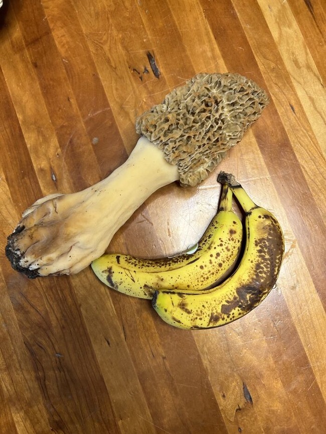 62e0e00290f98_ss0aR69__700