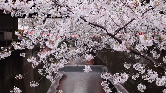 e67670ce-1fb0-405e-a91d-cec4b59f6a66