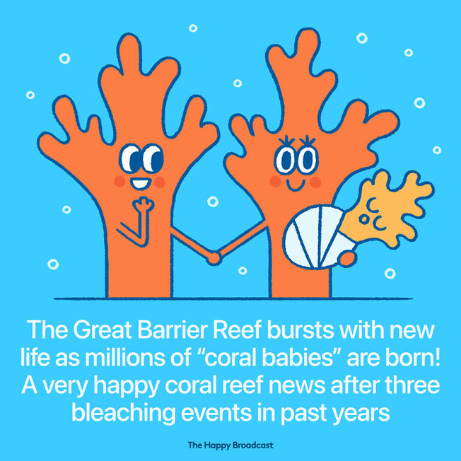 illustrated-good-news-2021-mauro-gatti