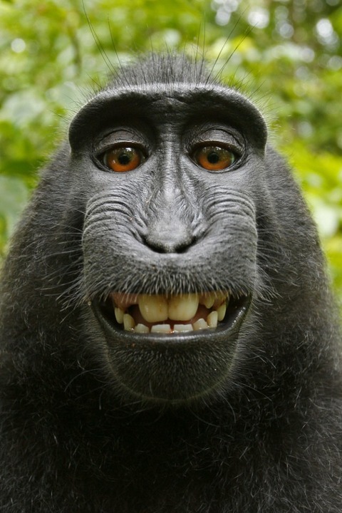 selfie-640x960