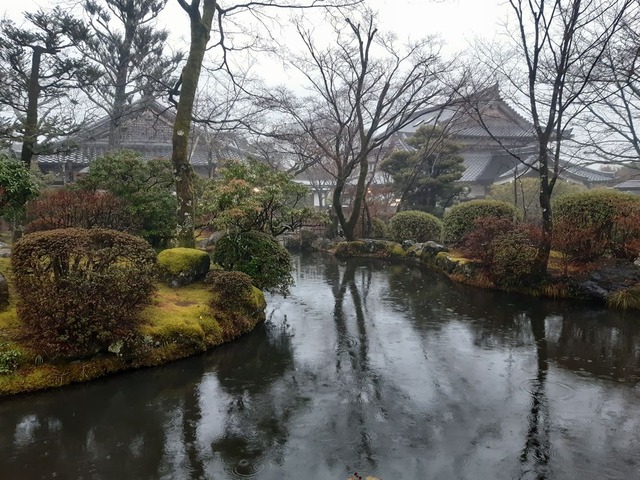 1755199079143916 (1)