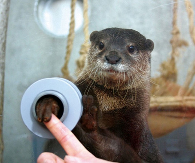 1412454664-6447dabc5fa03__700