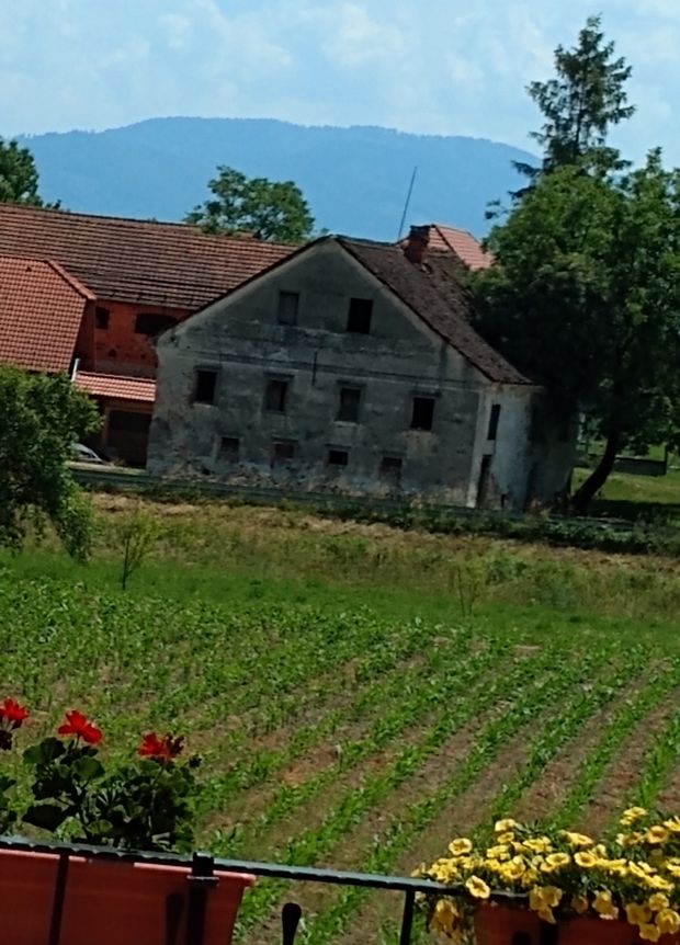 1560686353725