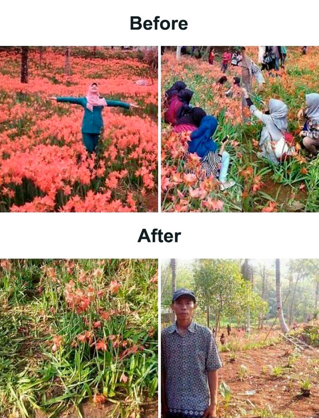 65264782c5d6c_8jiq6hfmpmz11__700-652686e631060__700